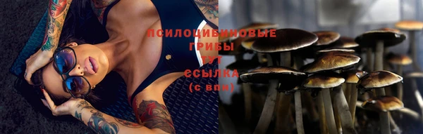 Альфа ПВП Инта