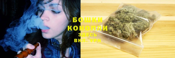 молекула духа Кулебаки