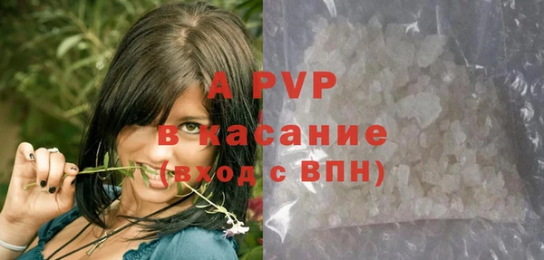 Альфа ПВП Инта