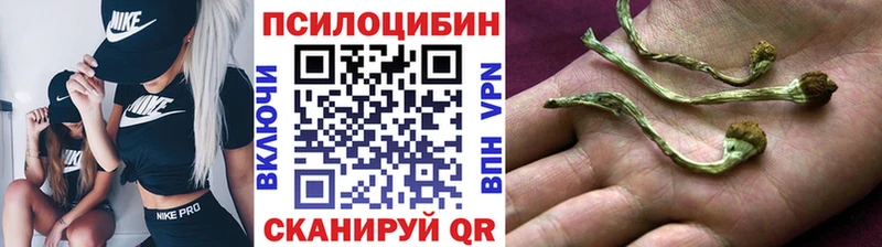 Галлюциногенные грибы ЛСД  ссылка на мегу маркетплейс  Завитинск 