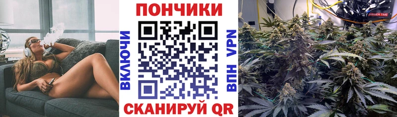 что такое наркотик  darknet официальный сайт  Конопля тримм  Завитинск 
